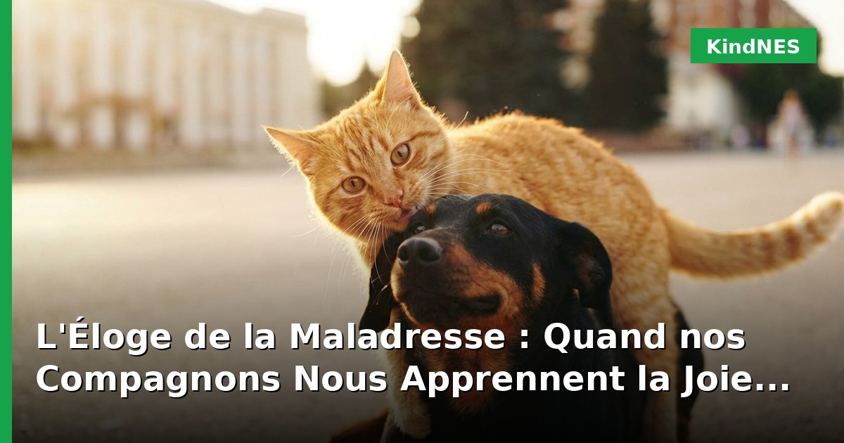 L'Éloge de la Maladresse : Quand nos Compagnons Nous Apprennent la Joie Pure