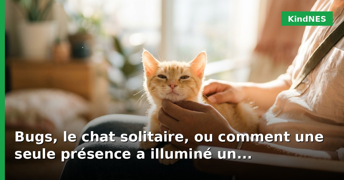 Bugs, le chat solitaire, ou comment une seule présence a illuminé un événement caritatif