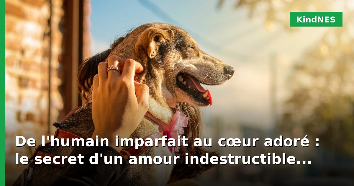 De l'humain imparfait au cœur adoré : le secret d'un amour indestructible