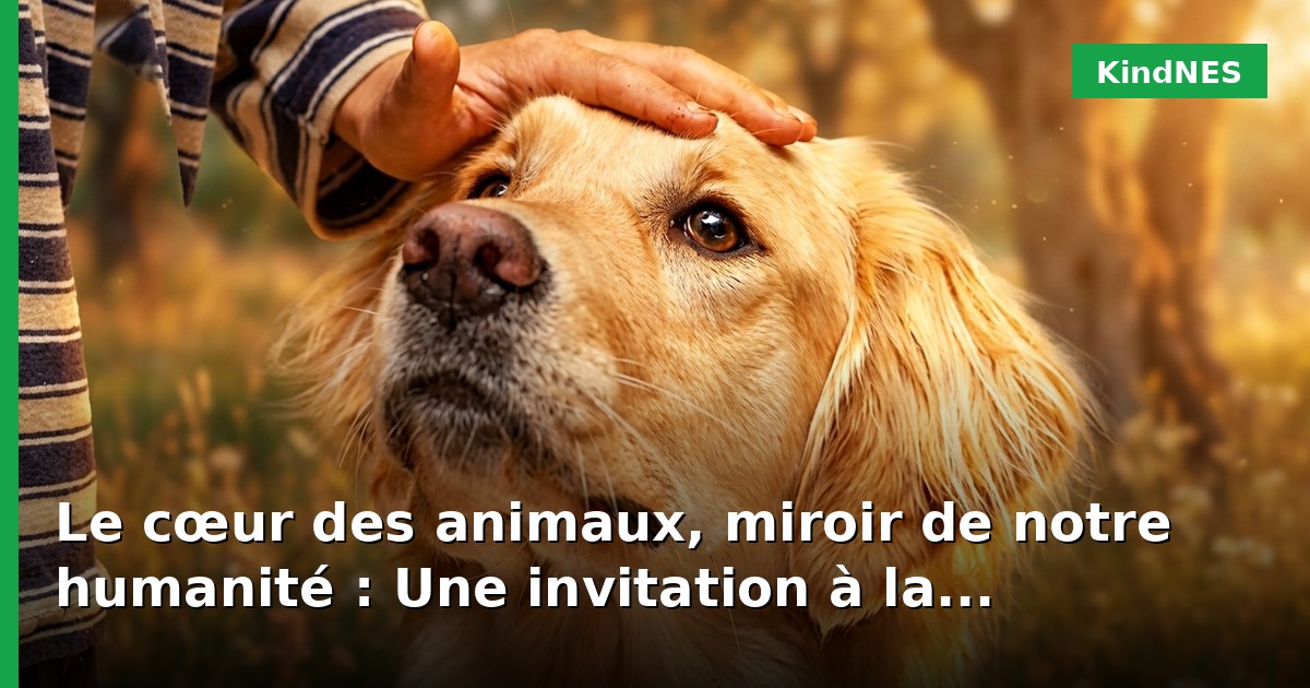 Le cœur des animaux, miroir de notre humanité : Une invitation à la bienveillance