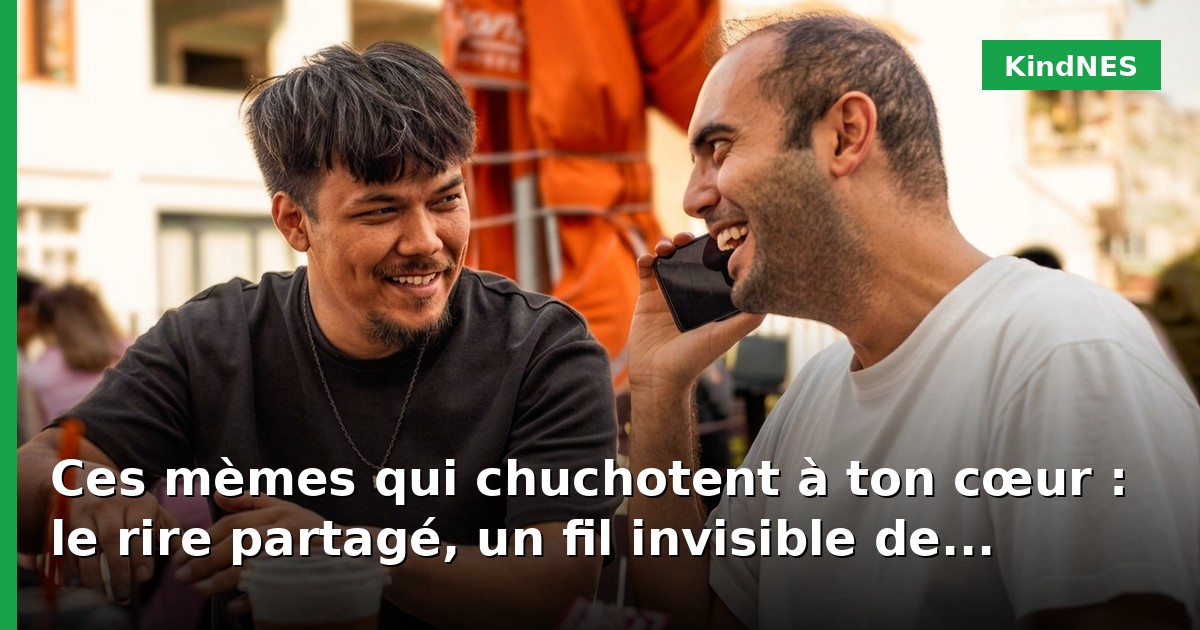 Ces mèmes qui chuchotent à ton cœur : le rire partagé, un fil invisible de notre humanité