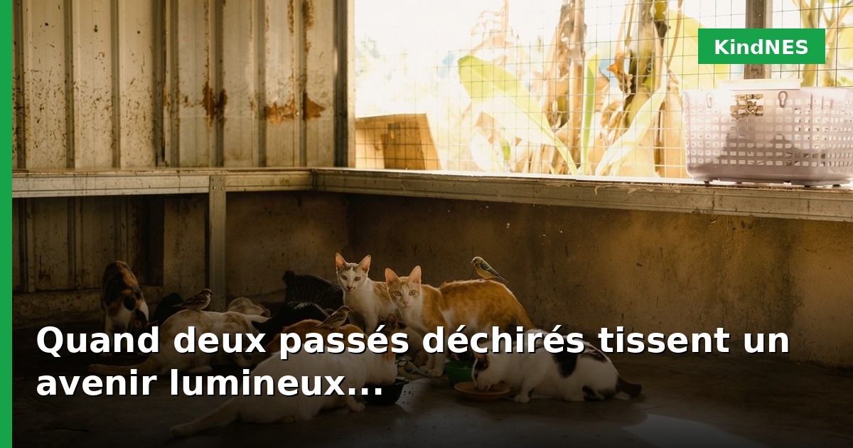 Quand deux passés déchirés tissent un avenir lumineux