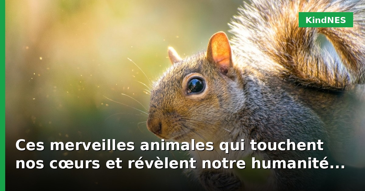 Ces merveilles animales qui touchent nos cœurs et révèlent notre humanité